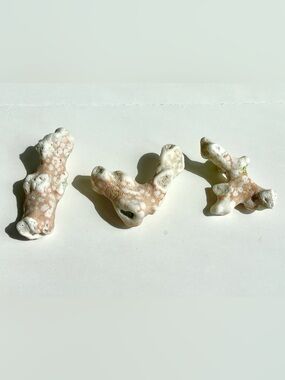 Indo pacific white and peach coral branches set of 3